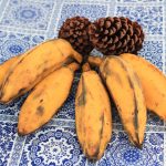 Banana Figo Sobe a Mesa