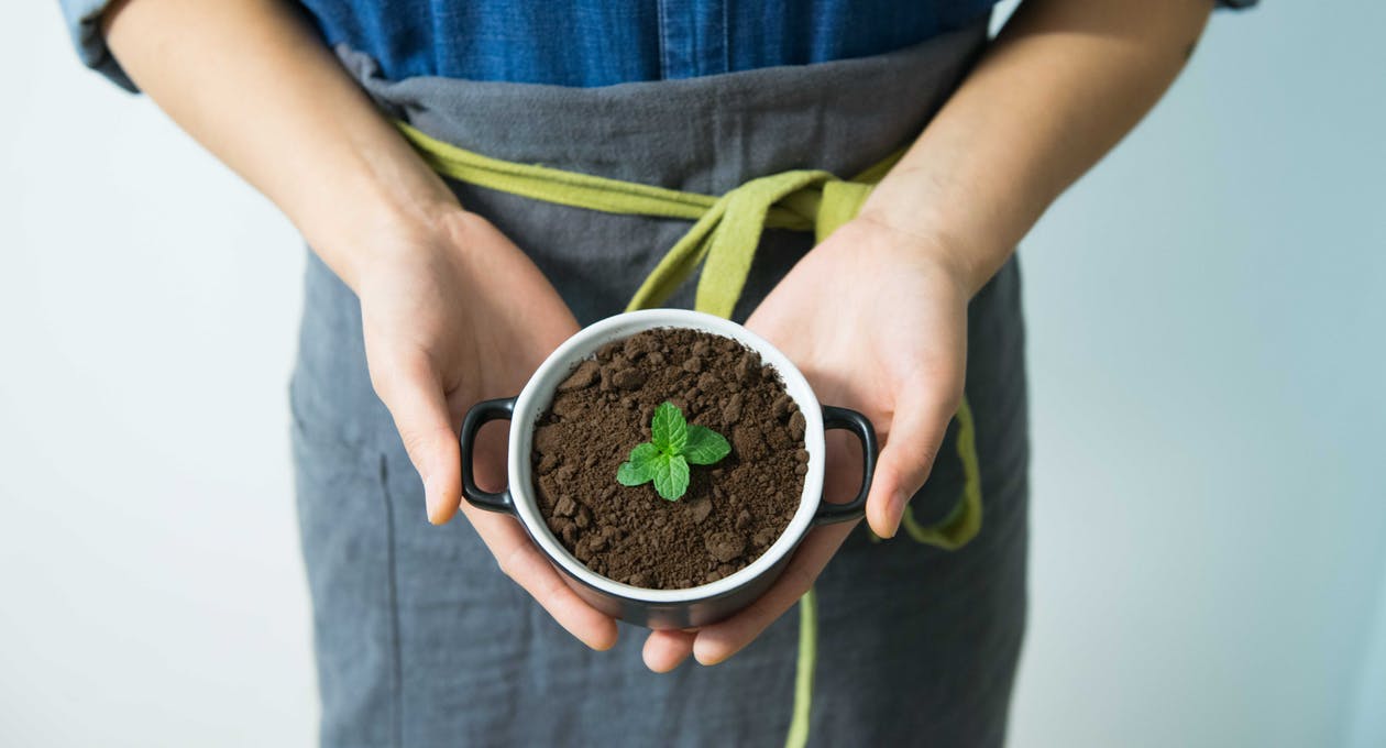 Ecologia e Meio Ambiente Para Concurso