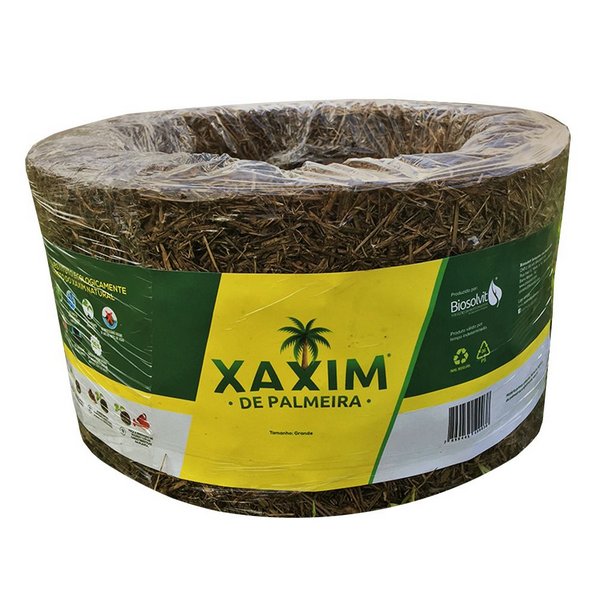 Como Podar Xaxim