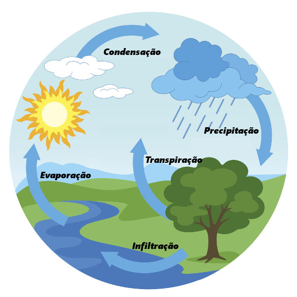Por Que o Ciclo da Água é Importante na Natureza?