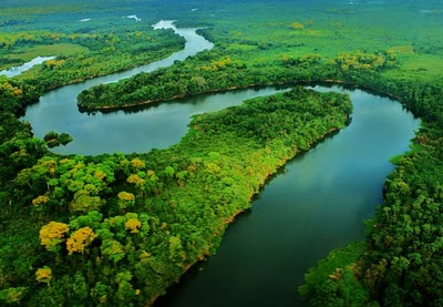 Exemplos de Ecossistemas Naturais