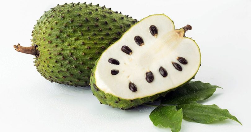 A Fruta Graviola é Abortiva Sim ou Não?