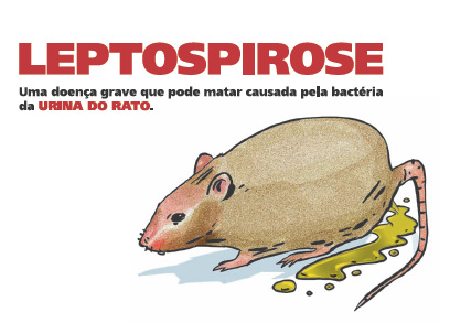 Leptospirose