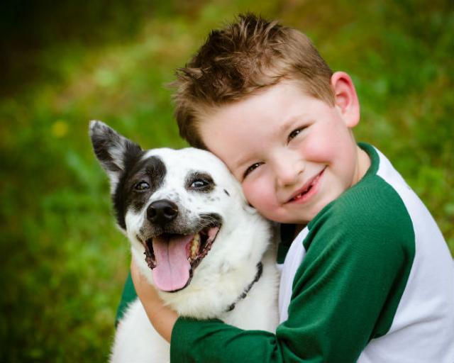O Que Fazer Para o Cachorro Gostar de Você?