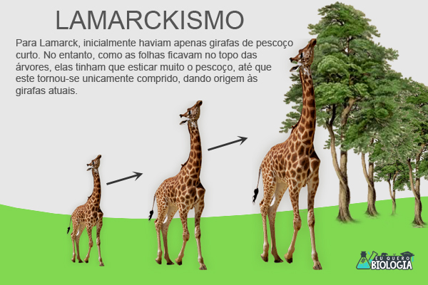 O Que Diz a Teoria de Lamarck Sobre a Evolução das Espécies?