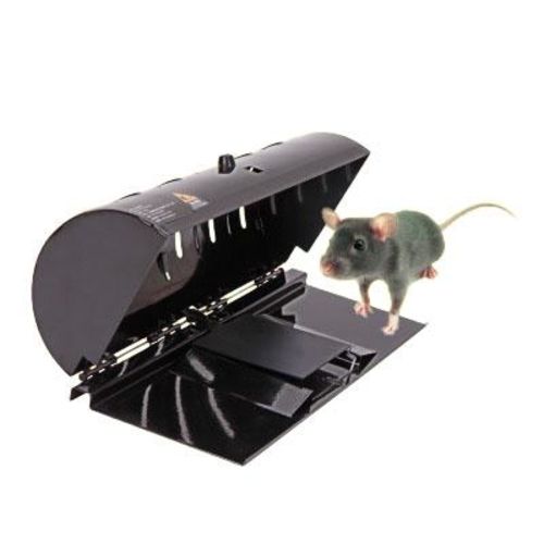 Armadilha Infalível para Ratos: Passo a Passo de Como Fazer