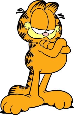 Qual é a Raça de Garfield? Tem uma Raça Específica de Gato?