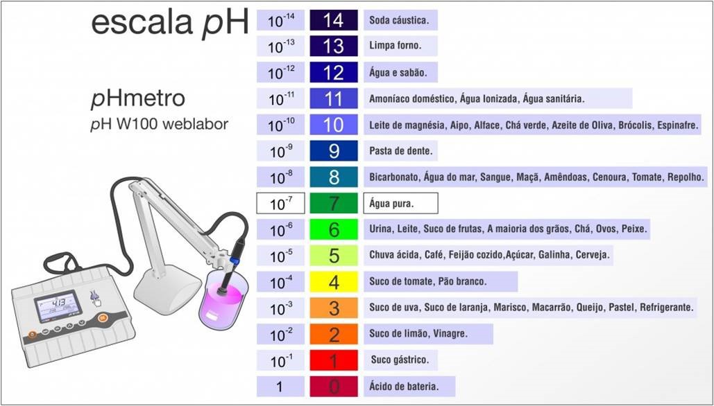 Qual a Importância do pH Para o Organismo Humano?