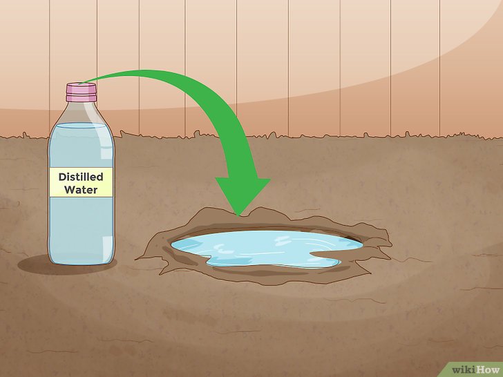 Como Fazer um Teste de pH Caseiro? Passo a Passo