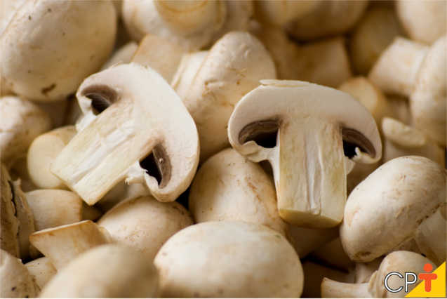 Cogumelo e Champignon: São a Mesma Coisa? Diferença Explicada