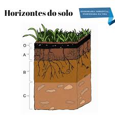 O Que é o Horizonte B Textural? Como Ele Acontece?