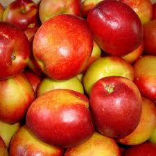 Nectarina Precoce de Itupeva: Características, Muda e Fotos