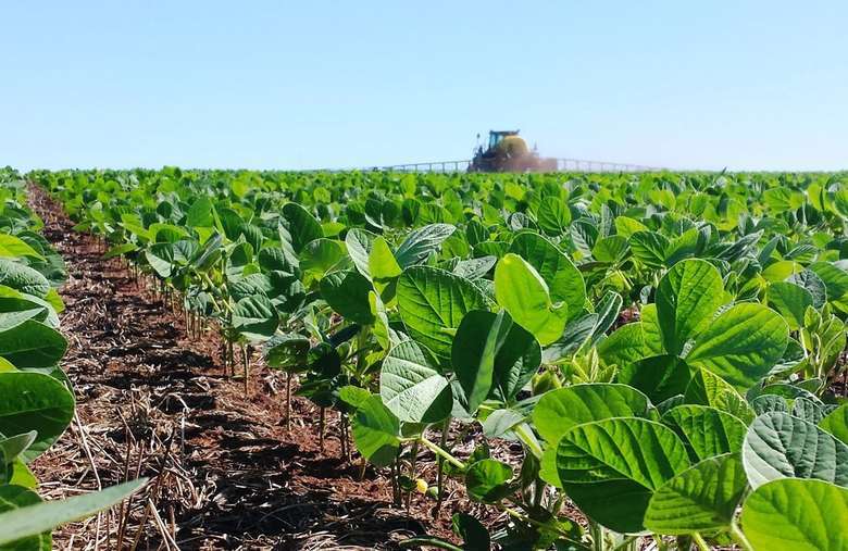 Quanto Tempo Demora Para se Colher a Soja? Tempo de Cultivo