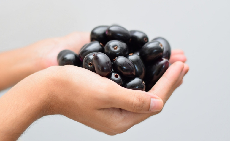 Benefícios do Jamelão: 6 Efeitos Comprovados e Como Consumir