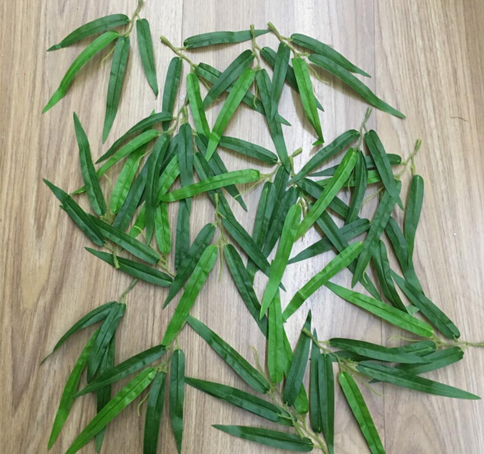 Para que Serve a Folha de Bambu? Benefícios do Bambu