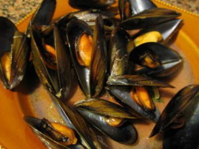 Comportamento dos Bivalves, Hábitos e Modo de Vida