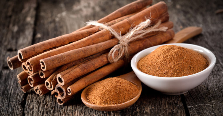 Canela Curiosidades e Fatos Interessantes Sobre a Planta