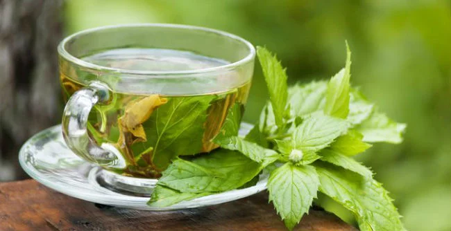 Chá de Menta: Os Surpreendentes Benefícios do Chá para a Saúde