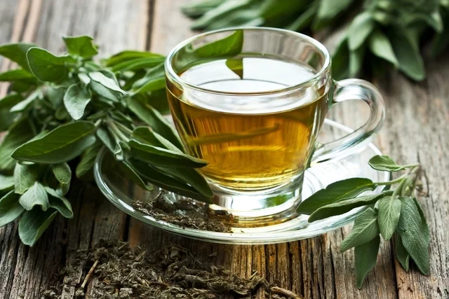 Plantas Medicinais Diuréticas: Benefícios para sua Saúde