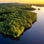 Amazônia