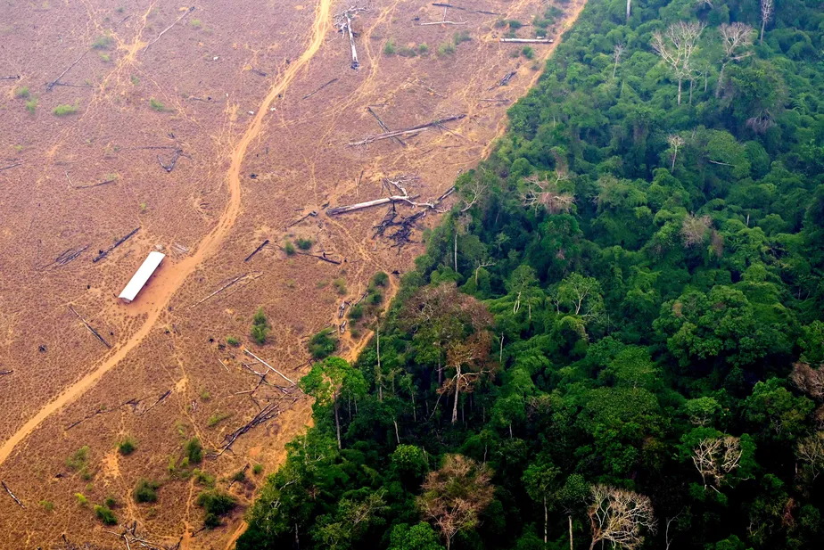 A relação entre a agroindústria e o desmatamento: impactos e soluções sustentáveis