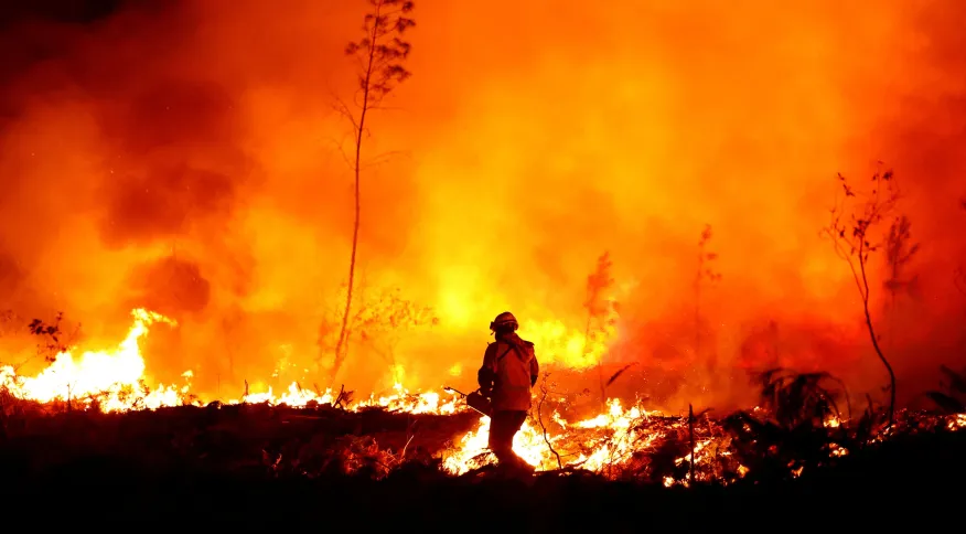 Desastres Naturais na Natureza: Influência e Impactos