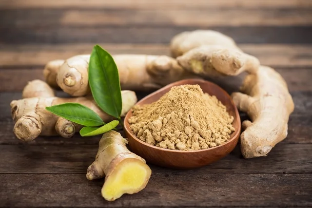 Os Poderes Curativos das Plantas Medicinais Digestivas