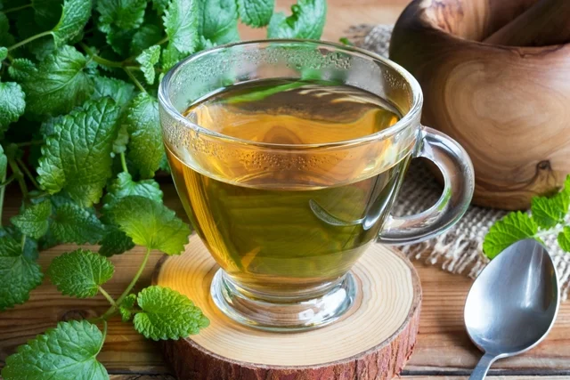 Os benefícios do chá de erva-cidreira para o relaxamento