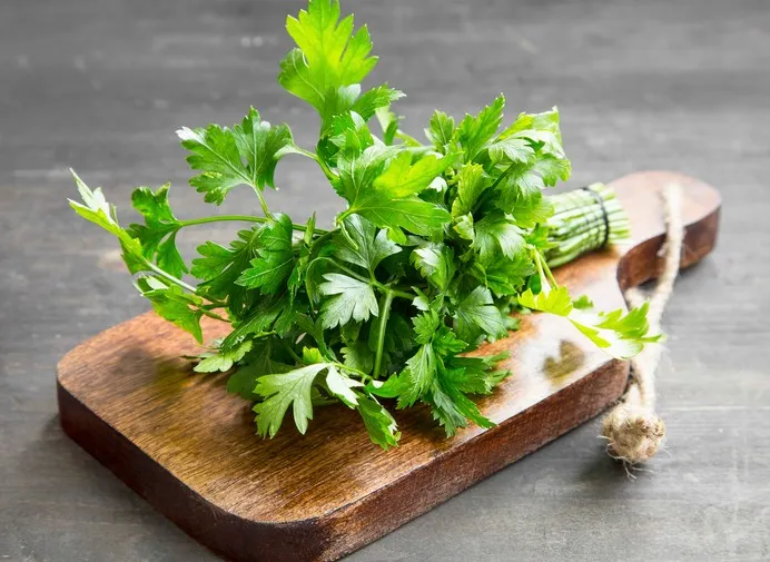 Usos Culinários da Salsa: Um Toque de Sabor e Nutrição na sua Cozinha
