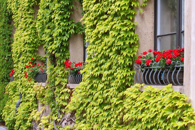 Plantas Resistentes para Decorar Calçadas em Floreiras