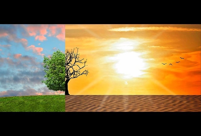 Mudanças Climáticas e as Florestas