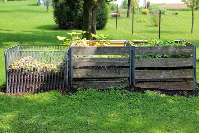 Compostagem Doméstica: Transformando Lixo em Adubo Natural