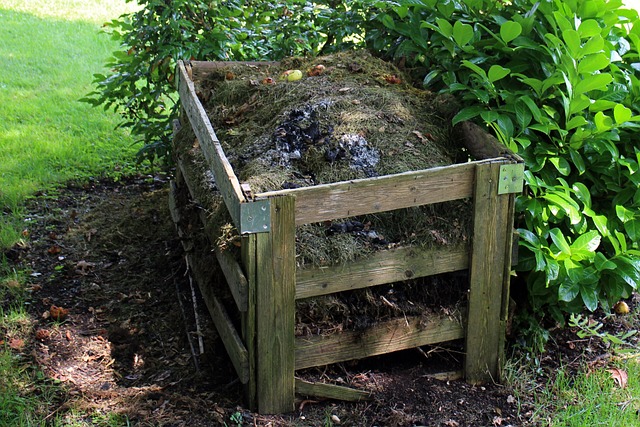 Adubo Caseiro: Transforme Resíduos em Nutrientes para o Jardim