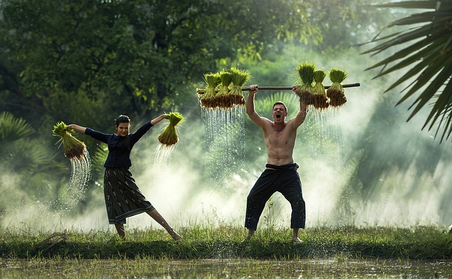 Água: O Pilar da Agricultura Sustentável
