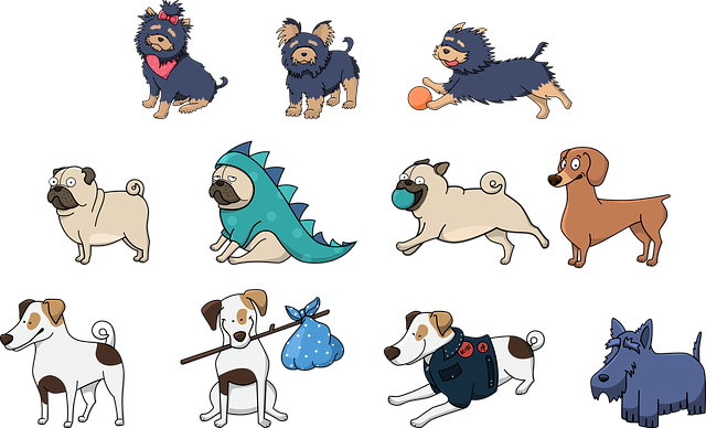 Socialização de Cachorro Adulto com Outros Pets: Guia Prático