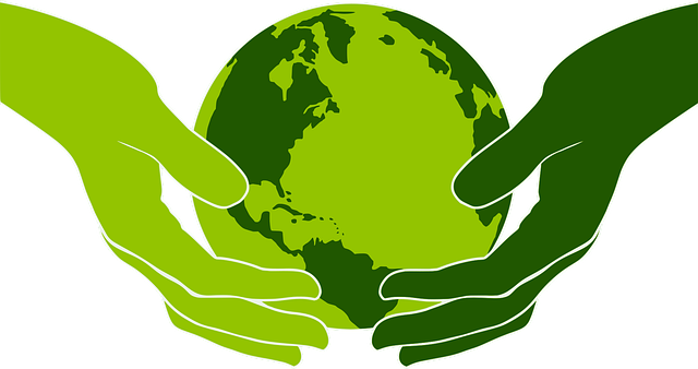 Cuidar do Planeta: Eco Atitudes