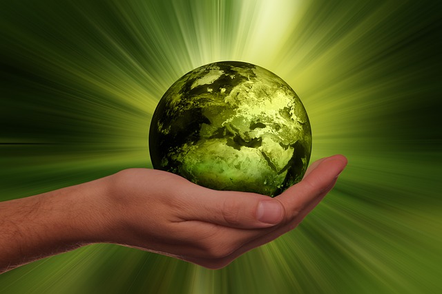 Dicas Ecológicas: Cuide do Planeta