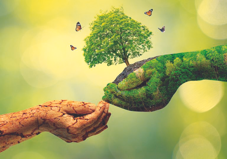 Conservação Ambiental: Ecologia em Ação