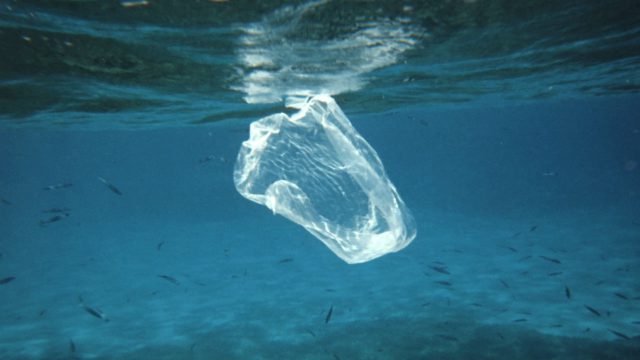 Lixo nos Oceanos: Medidas de Conservação