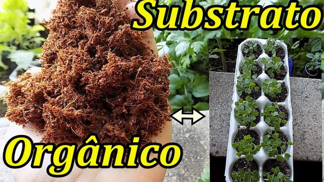 Criação de Substratos: Materiais Orgânicos