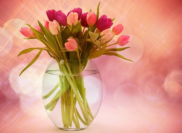 Cultivando Tulipas em Vasos com Sucesso