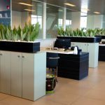 plantas no ambiente de trabalho